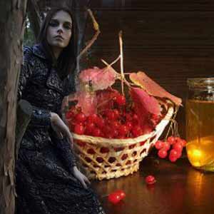 Лечение ИБС калиной, народное средство