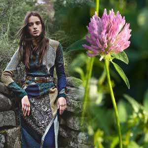 Клевер и сельдерей в народных рецептах от ишемии