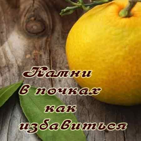 Как избавиться от камней в почках