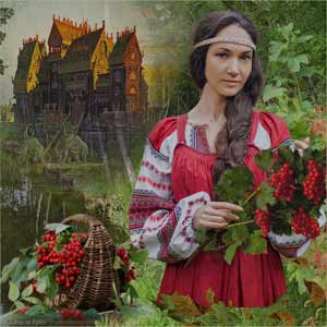Рябина в народных рецептах от давления